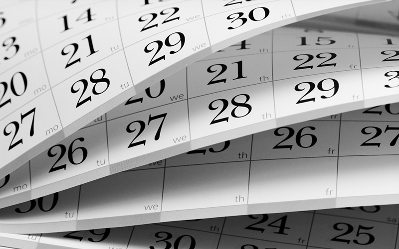 Calendar 11th Month Builder's Warranty Inspection Services